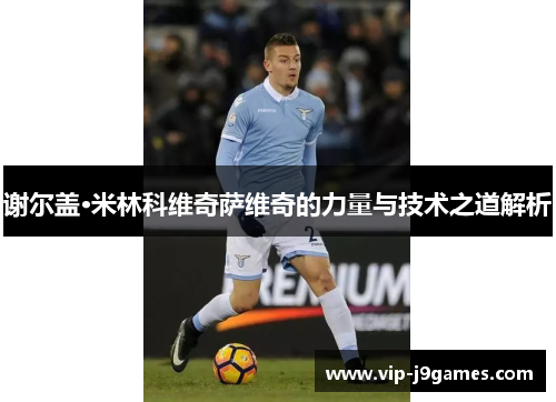 谢尔盖·米林科维奇萨维奇的力量与技术之道解析