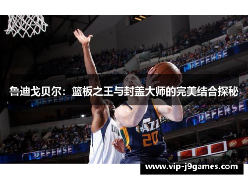 鲁迪戈贝尔：篮板之王与封盖大师的完美结合探秘