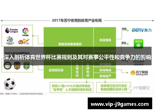 深入剖析体育世界杯比赛规则及其对赛事公平性和竞争力的影响