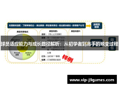 球员适应能力与成长路径解析：从初学者到高手的蜕变过程