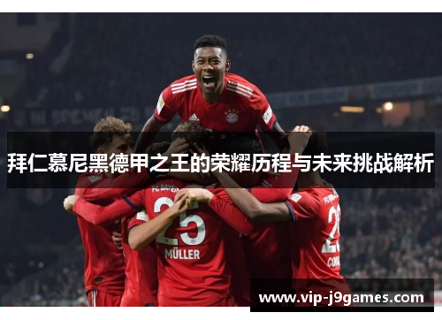 拜仁慕尼黑德甲之王的荣耀历程与未来挑战解析