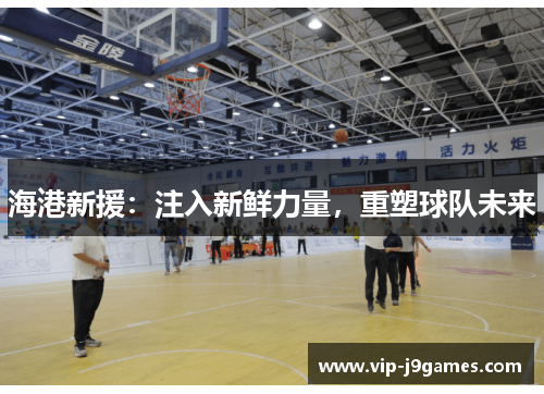 海港新援：注入新鲜力量，重塑球队未来