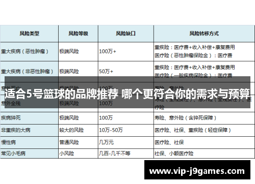 适合5号篮球的品牌推荐 哪个更符合你的需求与预算
