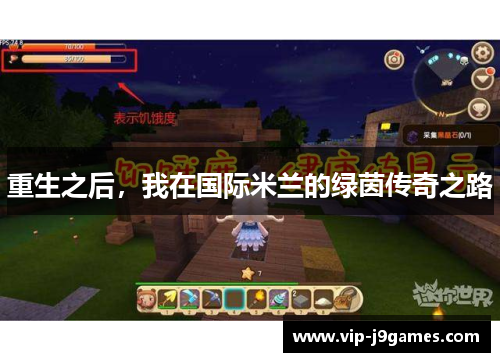 重生之后，我在国际米兰的绿茵传奇之路